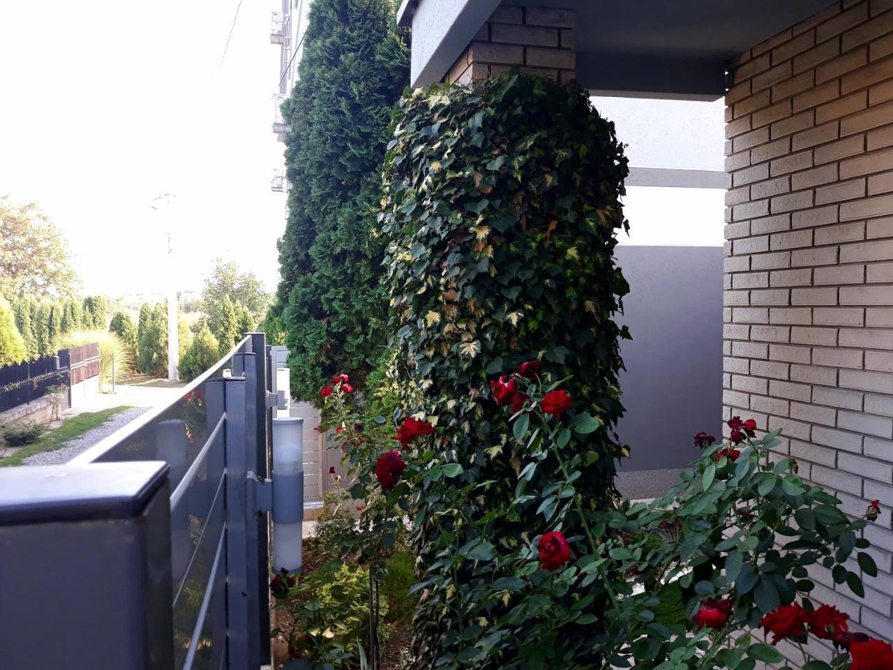Apartments Popovic Belgrade Exterior photo
