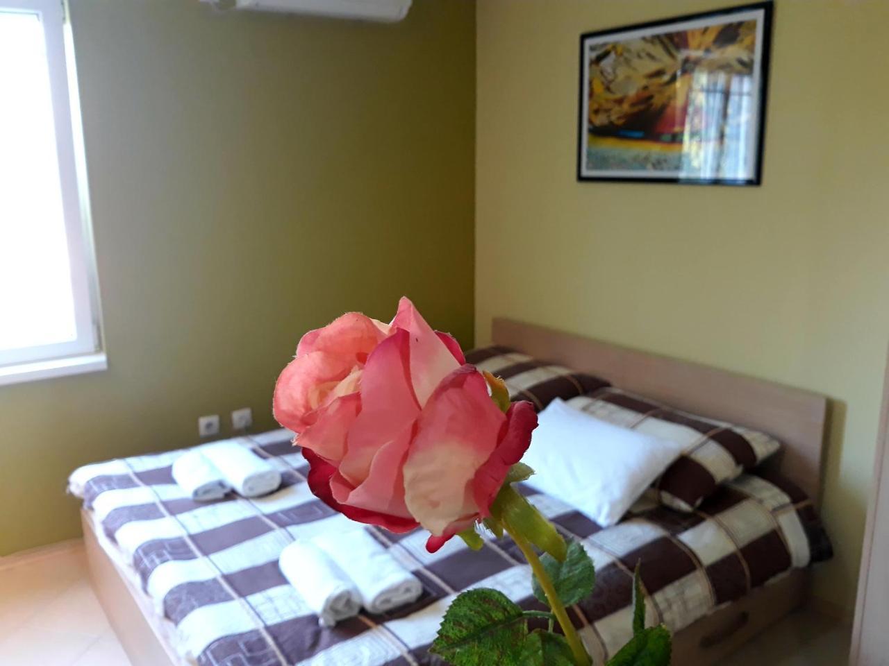 Apartments Popovic Belgrade Exterior photo